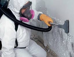 Best Airborne Mold Testing  in West Linn, OR